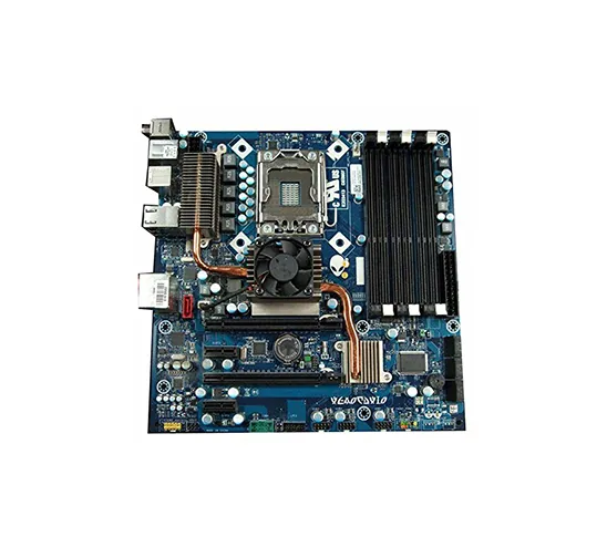 Converse Training Shoes