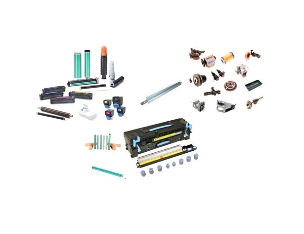 Converse Training Shoes